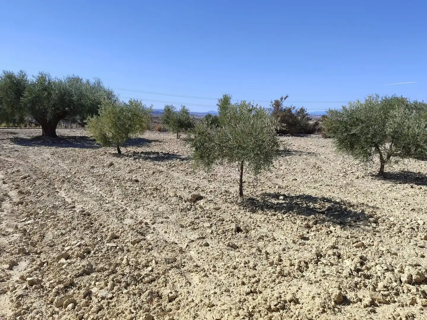 Lands and plots for sale in Abanilla, imagen 6