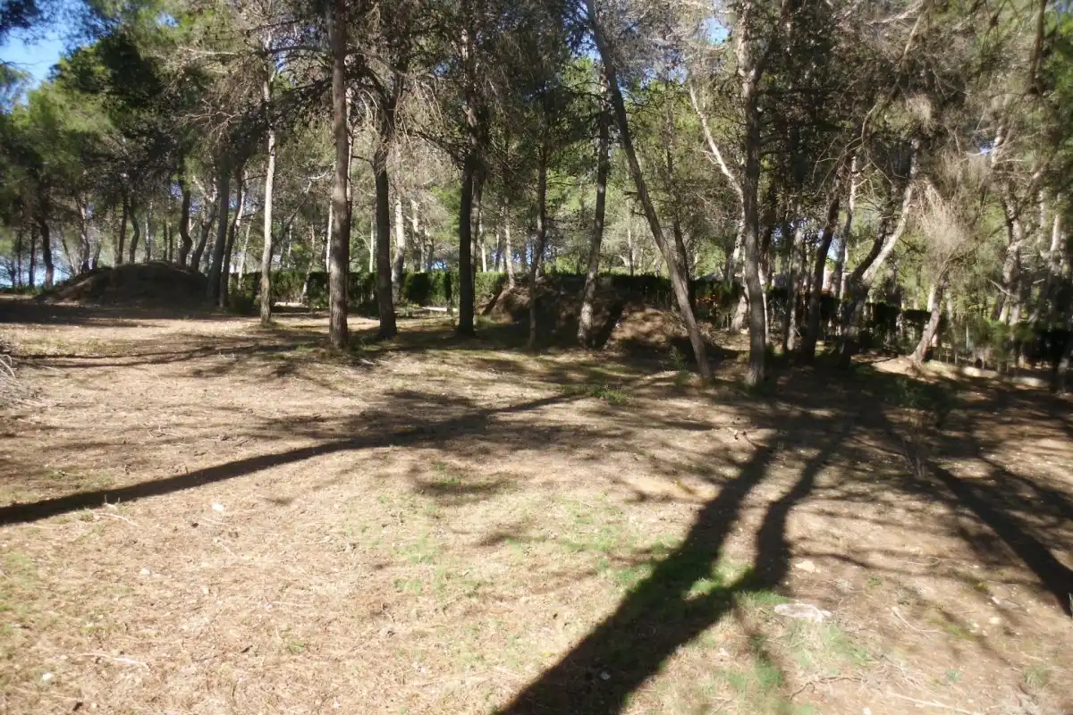 Rural land for sale in El Pilar, imagen 3