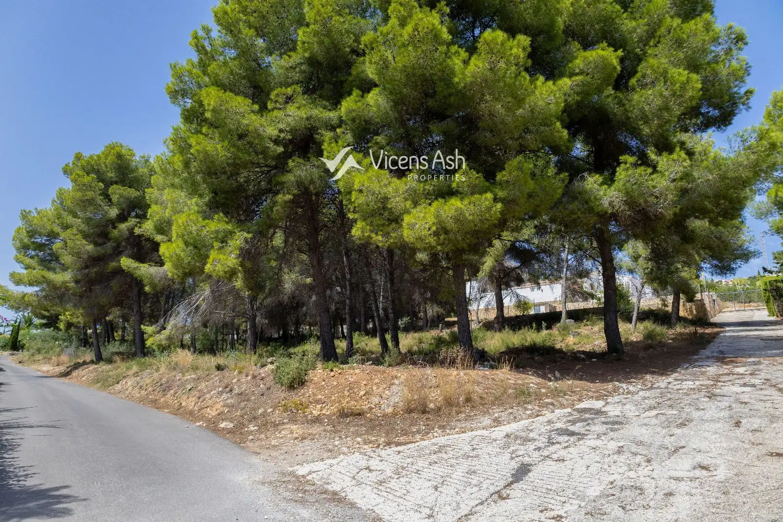 Rural land for sale in dels Castellans, imagen 9