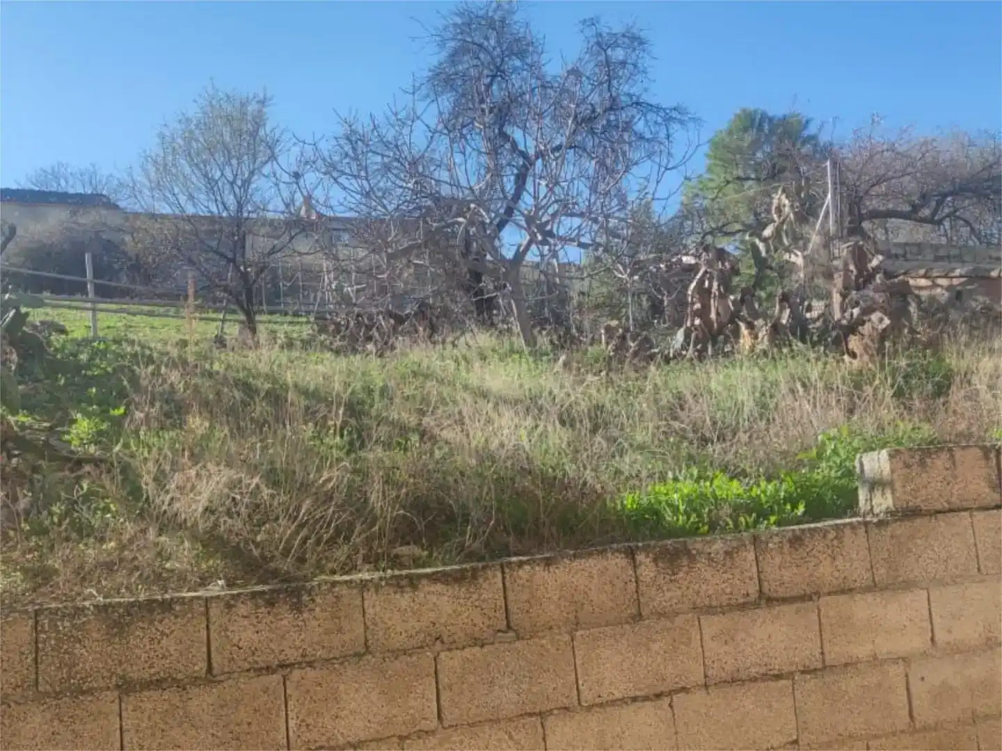 Finca rústica en venda en Peal de Becerro