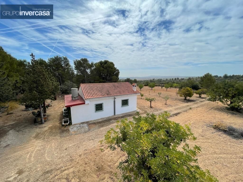 Vista exterior de Casa o xalet en venda en Cheste amb Calefacció, Jardí privat i Traster