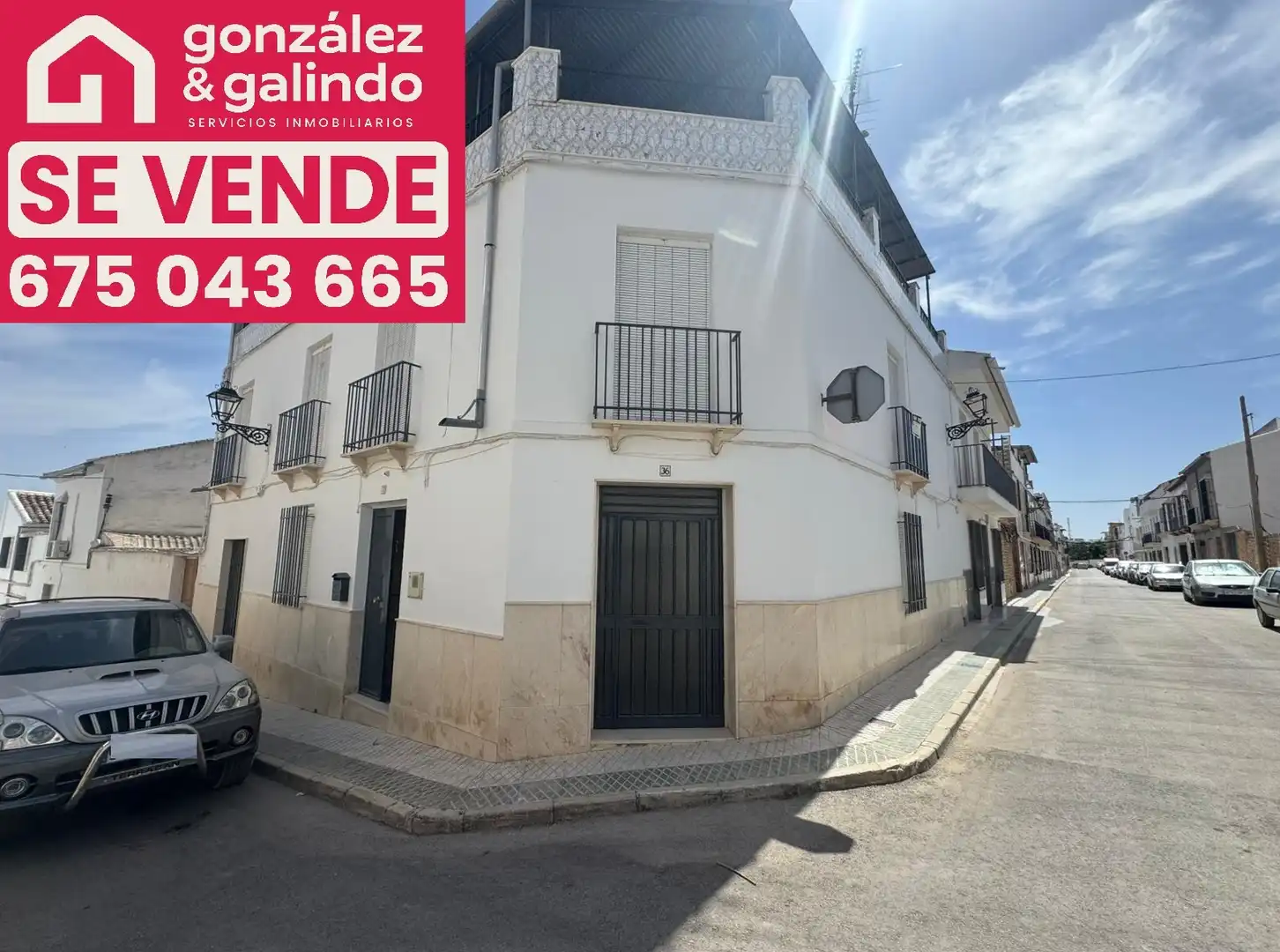 Vista exterior de Finca rústica en venta en Gilena