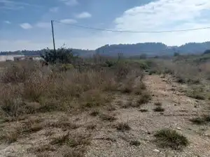 Rural land for sale in Vallmoll, imagen 2