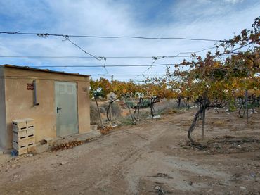 Terreno rustico in vendita a Pedanías Oeste