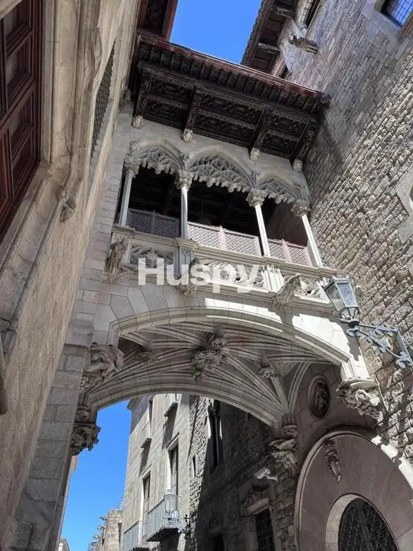 Pis amb terrassa en venda a Carrer d'Avinyó, imagen 43