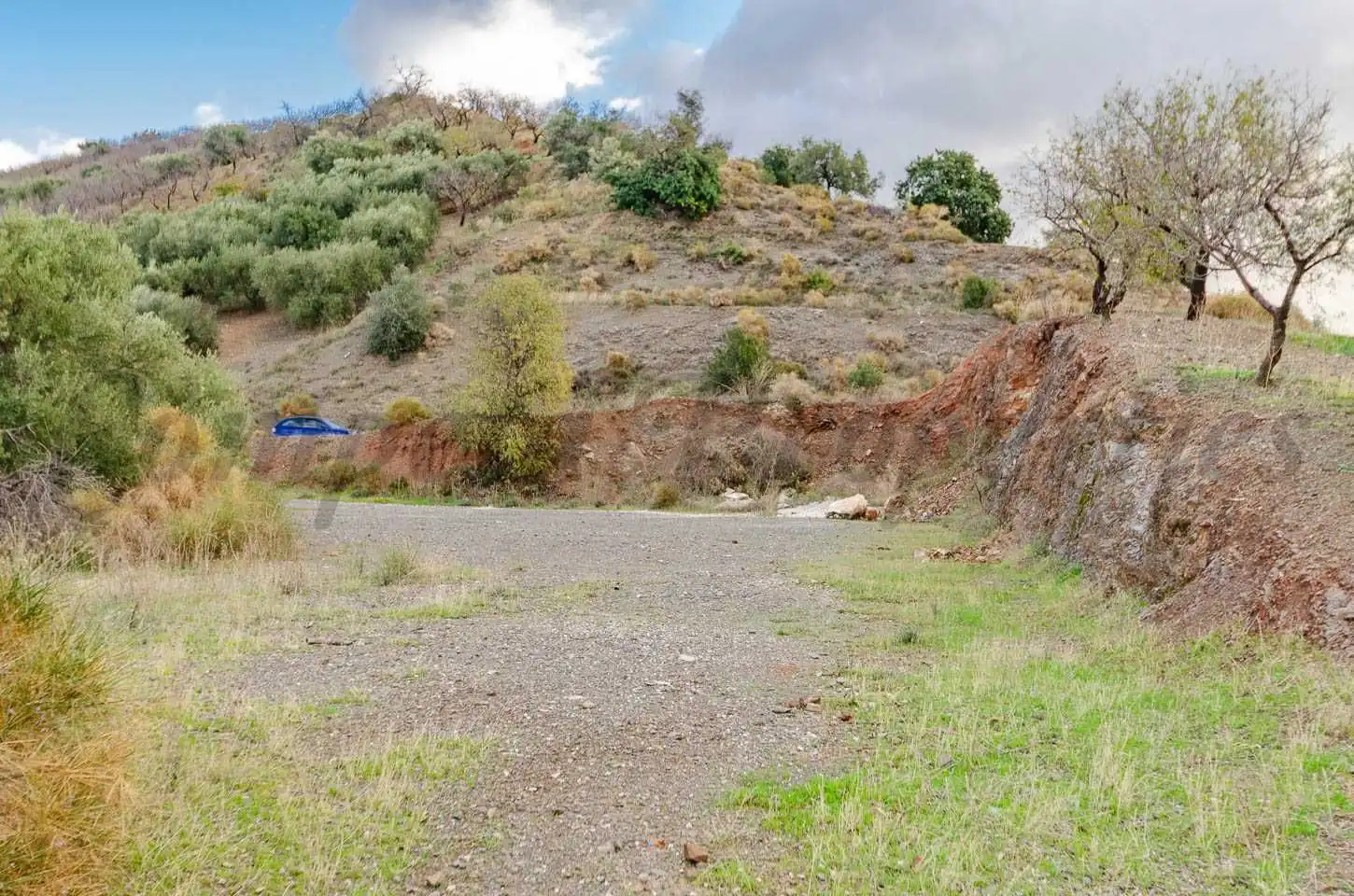 Terreno rustico in vendita a Salares, imagen 5