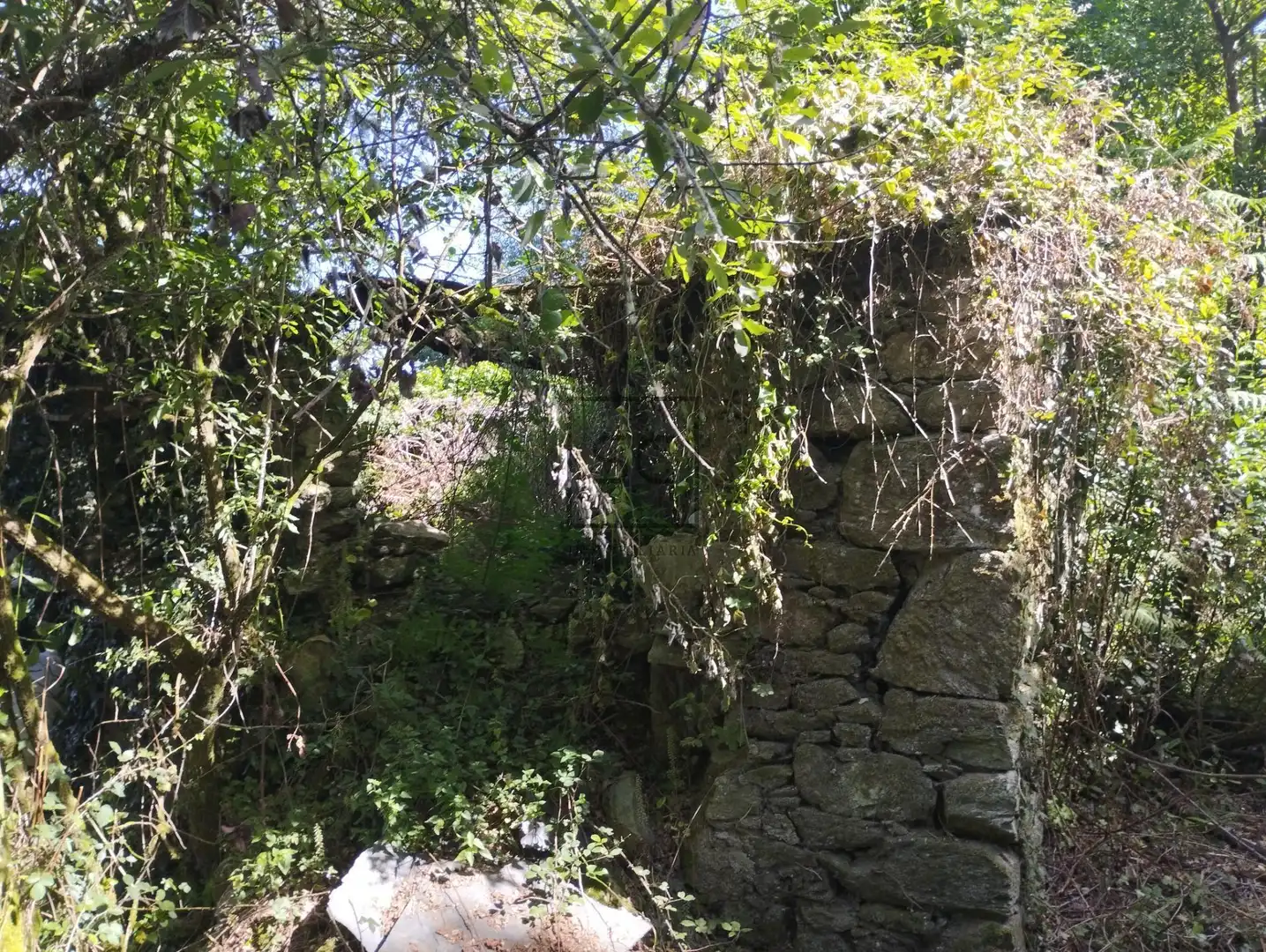 Vista exterior de Casa adosada en venta en San Sadurniño con Jardín privado