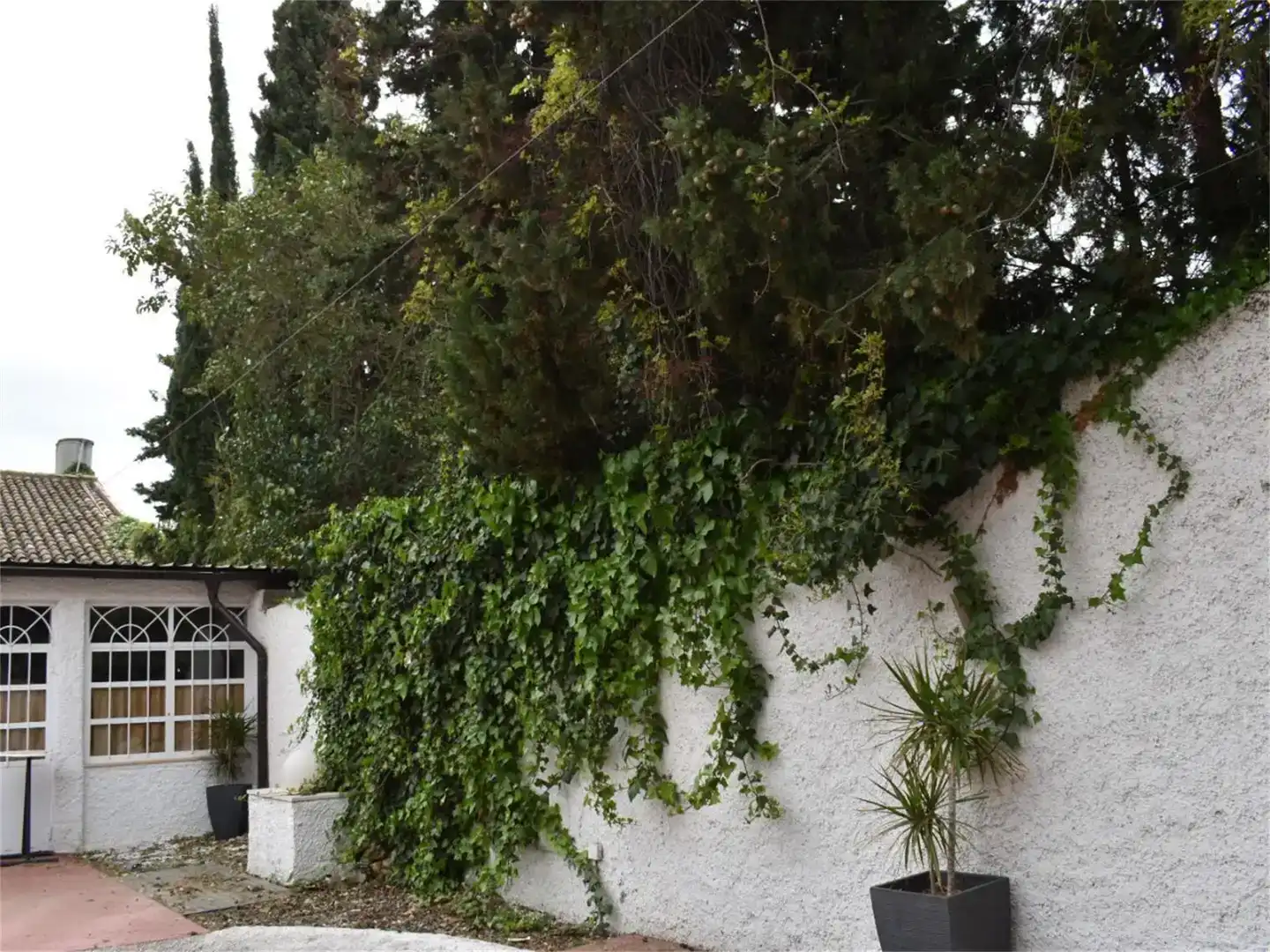 Jardí de Local de lloguer en Macastre amb Aire condicionat