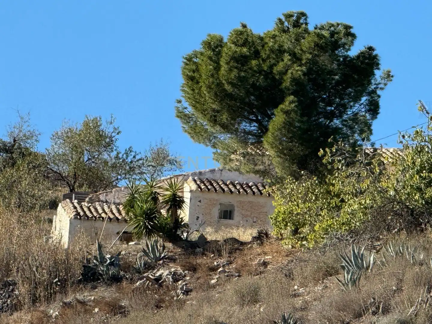 Casa o xalet en venda a BR RAMB-BANCALEJOVELEZ-RUBIO (ALMERÍA), -1, Vélez-Rubio