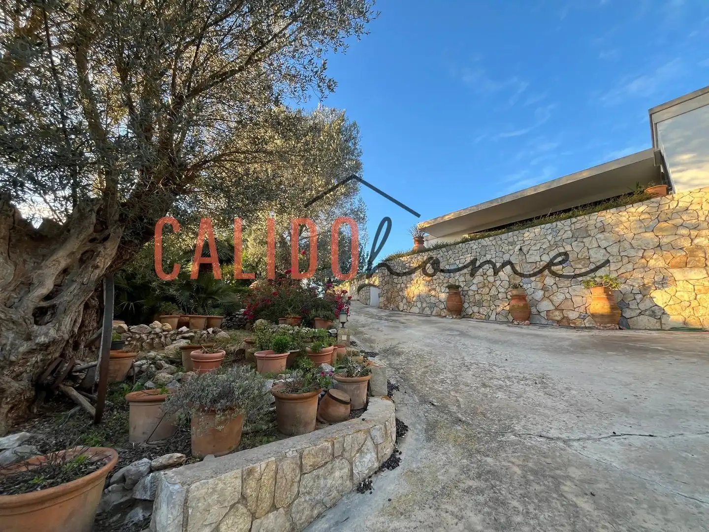 Country homes for sale in Calvià pueblo