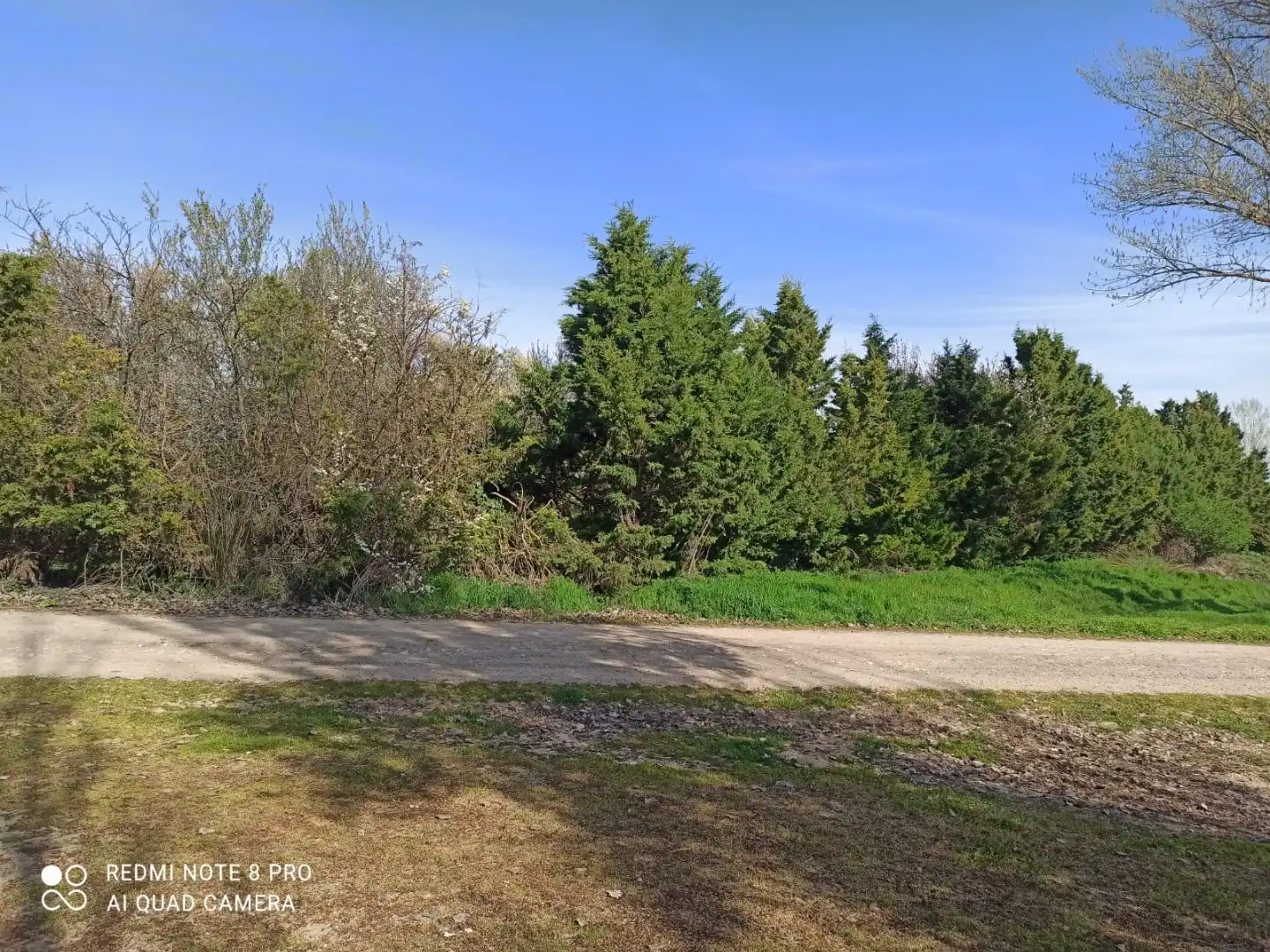 Terreno industrial en venta en torrepesquera 9, imagen 9