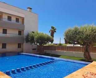 Swimming pool of Planta baja for sale in Vinaròs  with Terrace