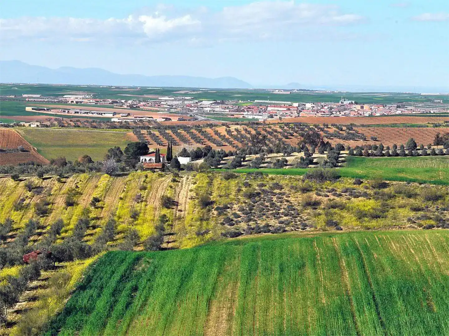 Terreno en venta en Burujón