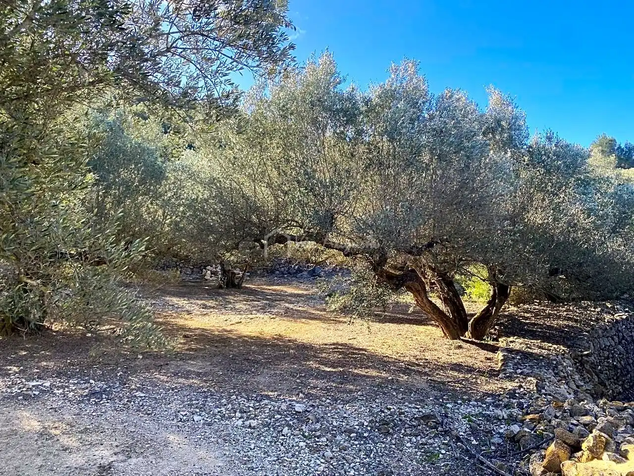 Terreno rustico in vendita a Aubachs, imagen 11