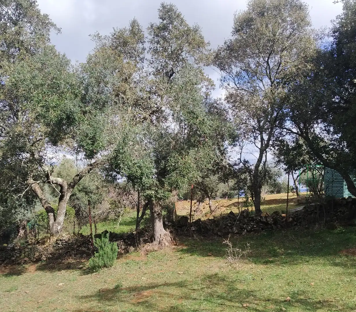 Terreni e lotti in vendita a Jerez de los Caballeros, imagen 5