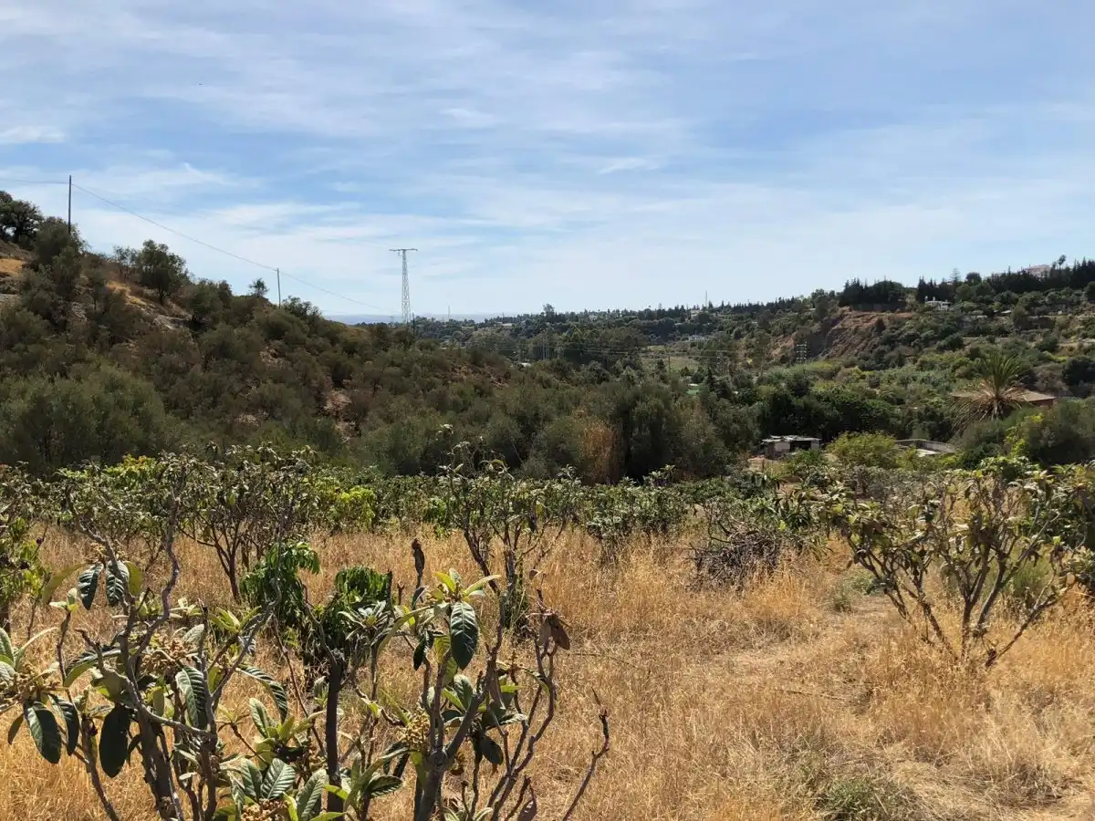 Casa rústica con jardín en venta en Punta Plata, imagen 13
