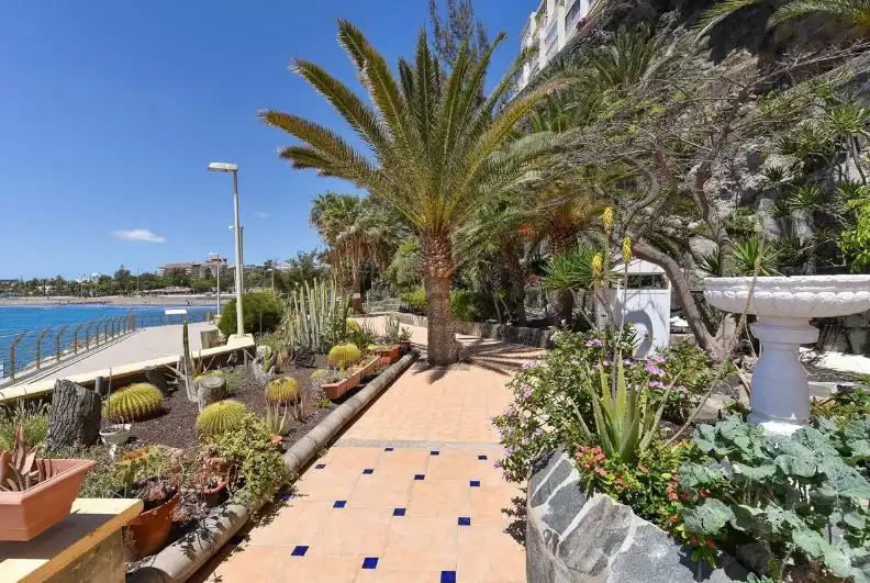 Garden of Study for sale in San Bartolomé de Tirajana  with Terrace, Furnished and TV