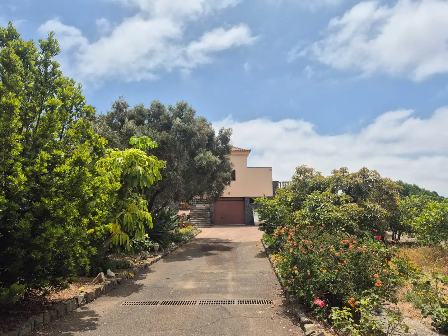 Vista exterior de Casa o chalet en venta en Vilaflor de Chasna con Jardín privado, Terraza y Piscina