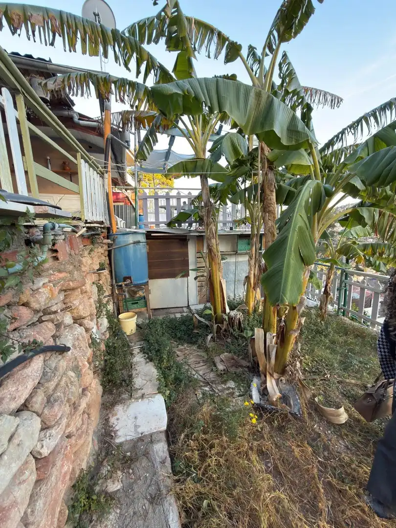 Wohnbaugrundstück zum Verkauf in OLIVERA DE L'(C SUSSALBA, imagen 13
