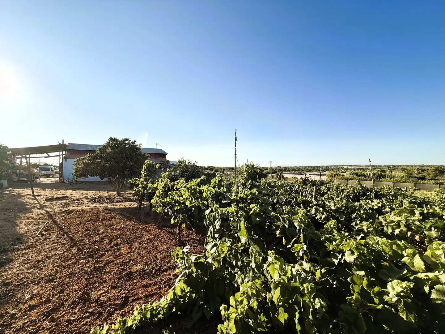 Terreni e lotti in vendita a DS PAGO MELILLA 536 POLIGONO 16 PARCELA 536, imagen 10