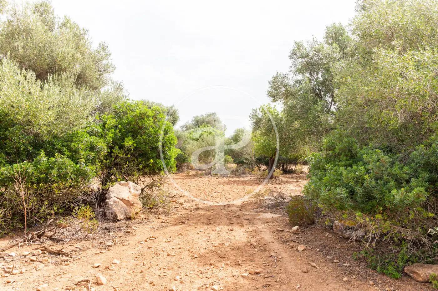 Terreno residenziale in vendita a Cami de.'s Presos, imagen 28