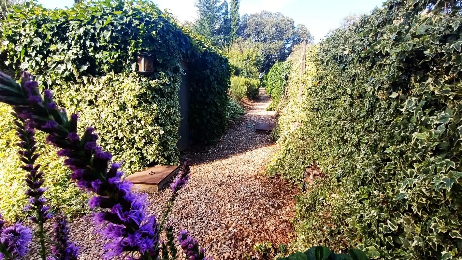Jardí de Casa o xalet en venda en Palacios del Pan amb Calefacció, Jardí privat i Terrassa