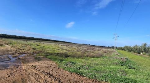 Photo 3 of Land for sale in Maria Auxiliadora - Barriada de Llera, Badajoz Capital