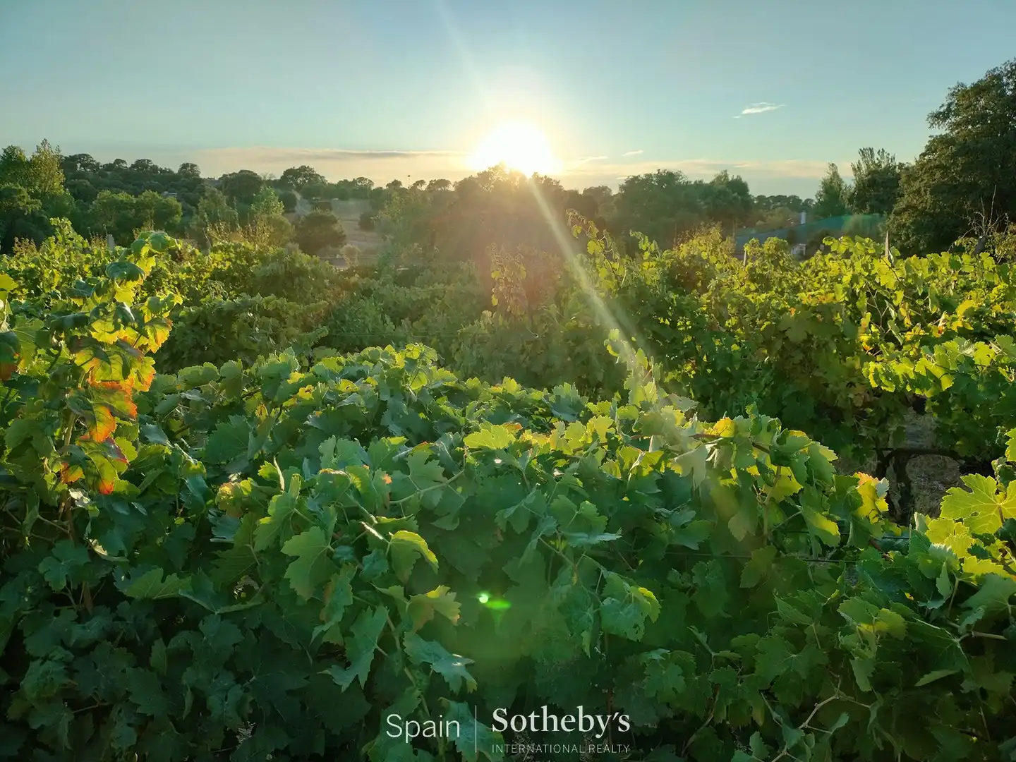 Lands and plots for sale in M-507, imagen 10