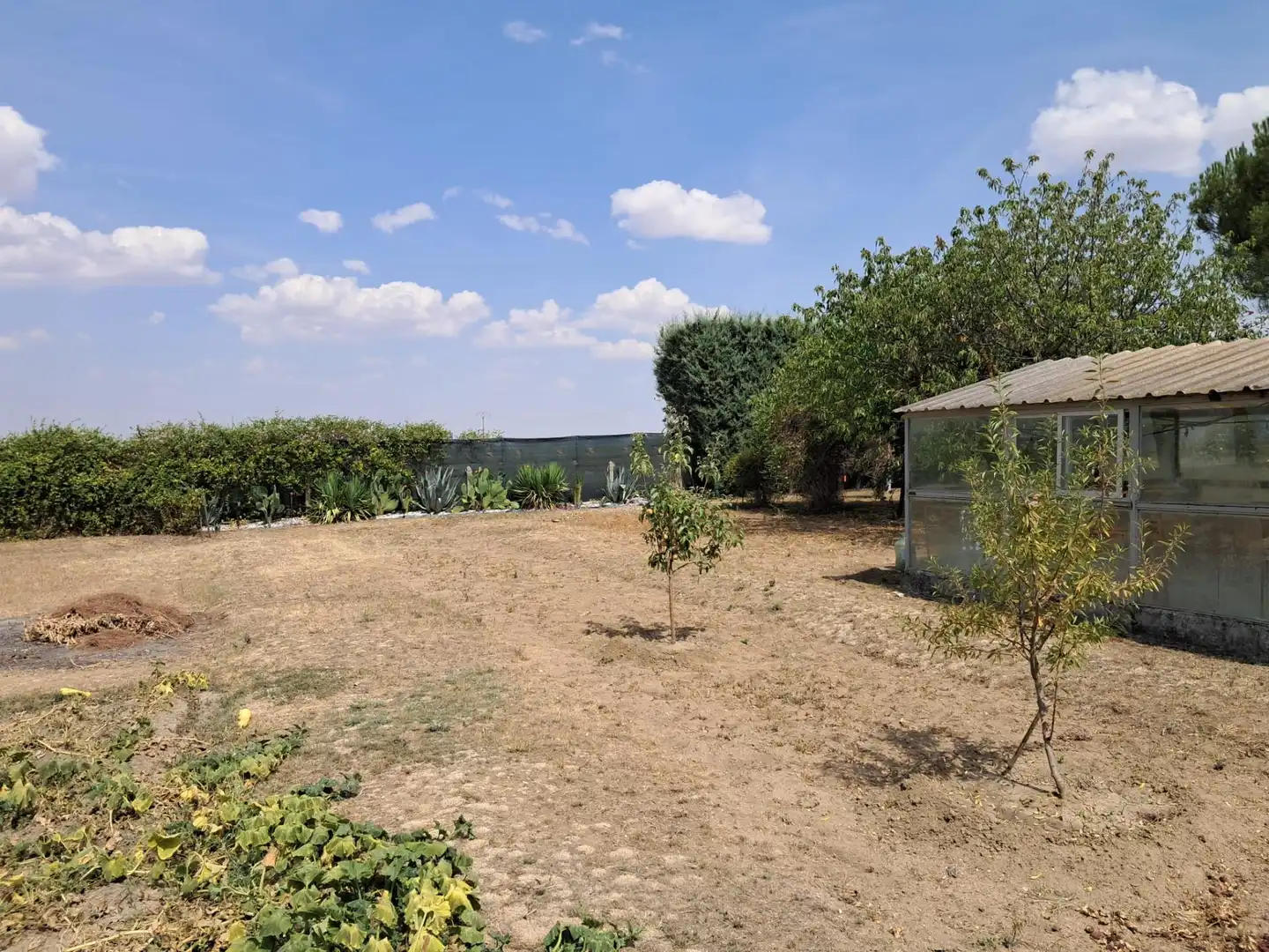 Wohnung zum Verkauf in La Vellés  mit Privatgarten und Schwimmbad