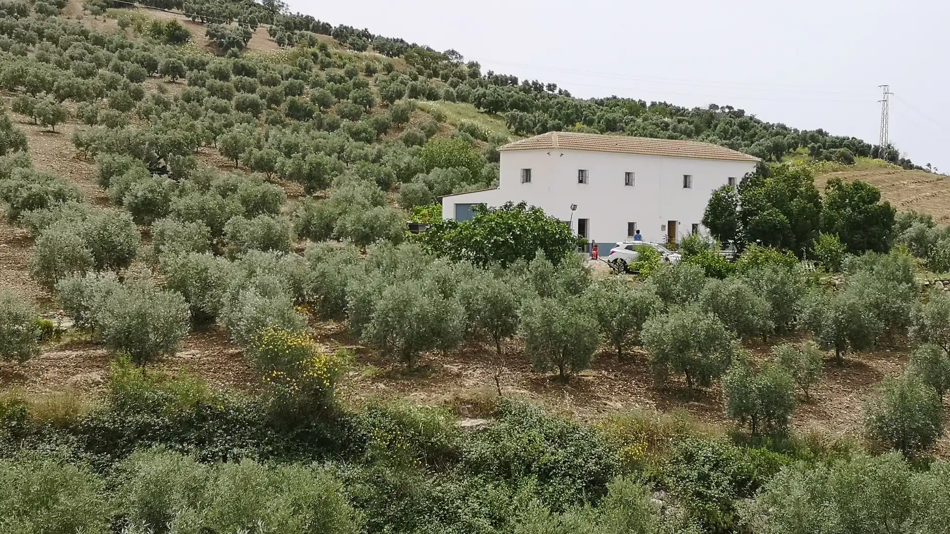 Garden of Country homes for sale in Antequera  with Storage room