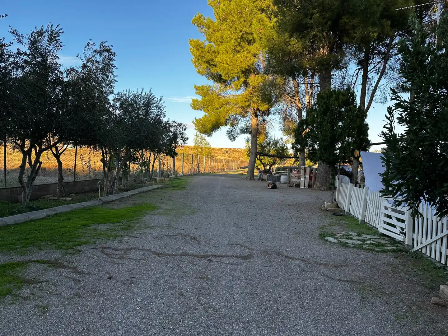 Vista exterior de Finca rústica en venta en Montoliu de Lleida con Calefacción, Jardín privado y Internet