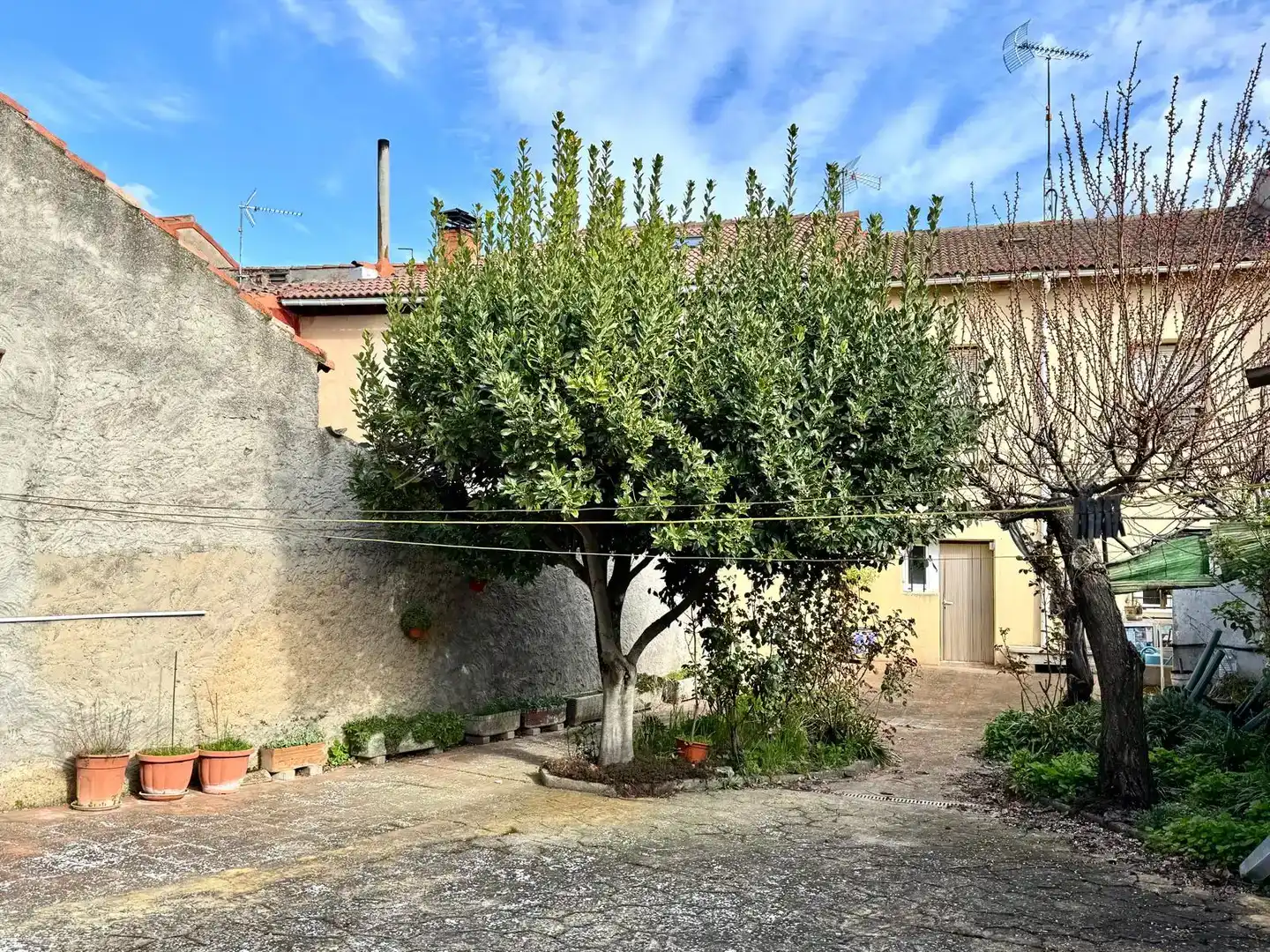 Vista exterior de Casa o chalet en venta en Cigales