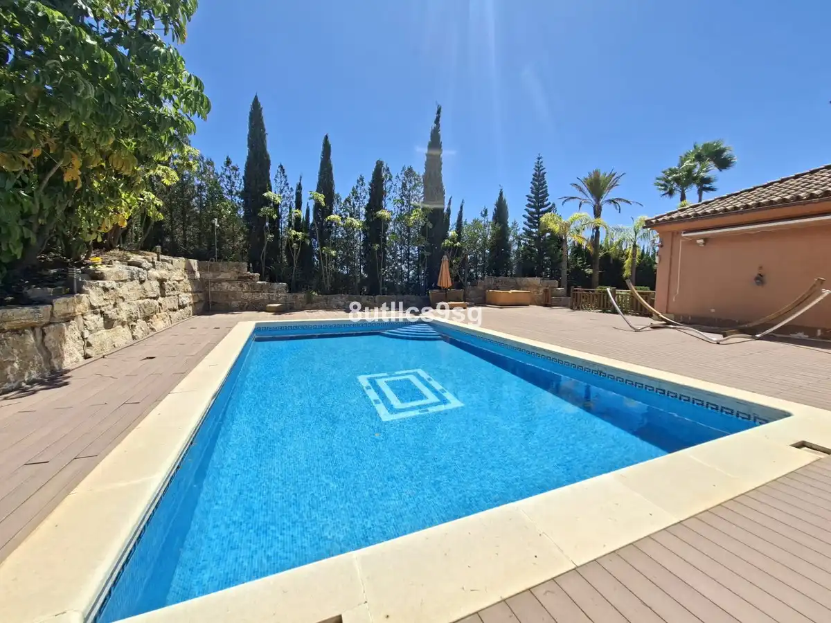 Piscina de Finca rústica en venta en Istán, Málaga