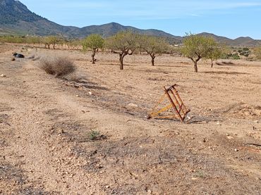 Terreno rustico in vendita a La Pinilla - Las Palas