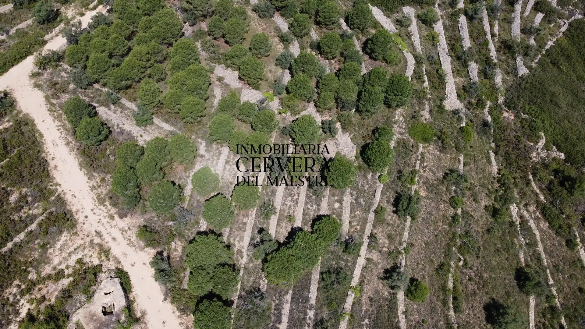 Terreny rústic en venda a Cervera del Maestre, imagen 3