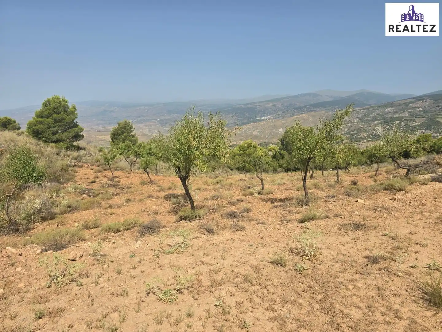 Terrain rustique à vendre à Alcolea