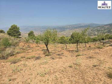 Rustikales Grundstück zum Verkauf in Alcolea