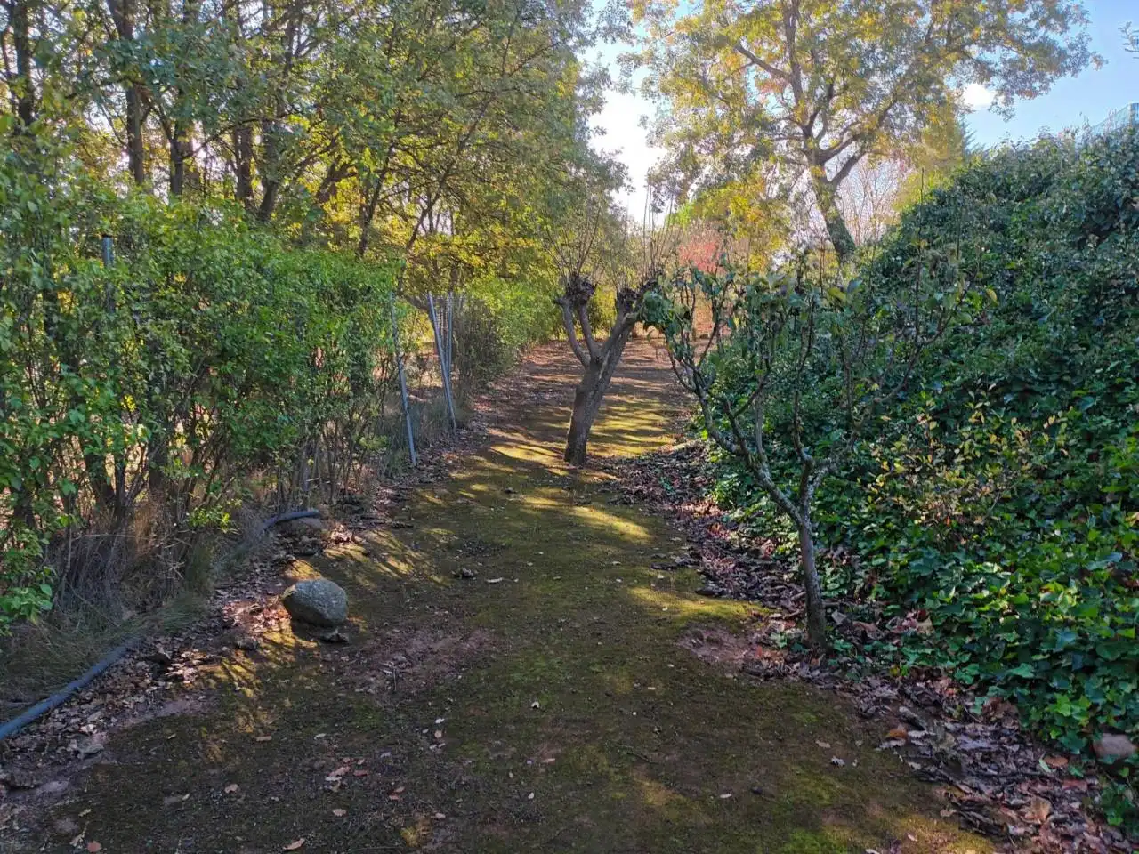 Country homes for sale in Entrena