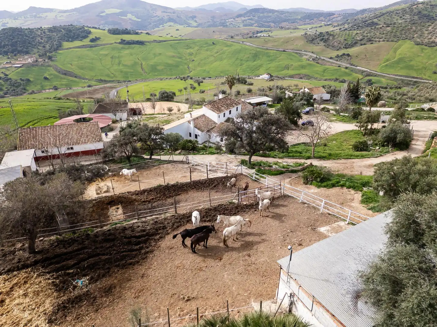 Vista exterior de Finca rústica en venta en Villanueva de la Concepción con Terraza, Piscina y Amueblado
