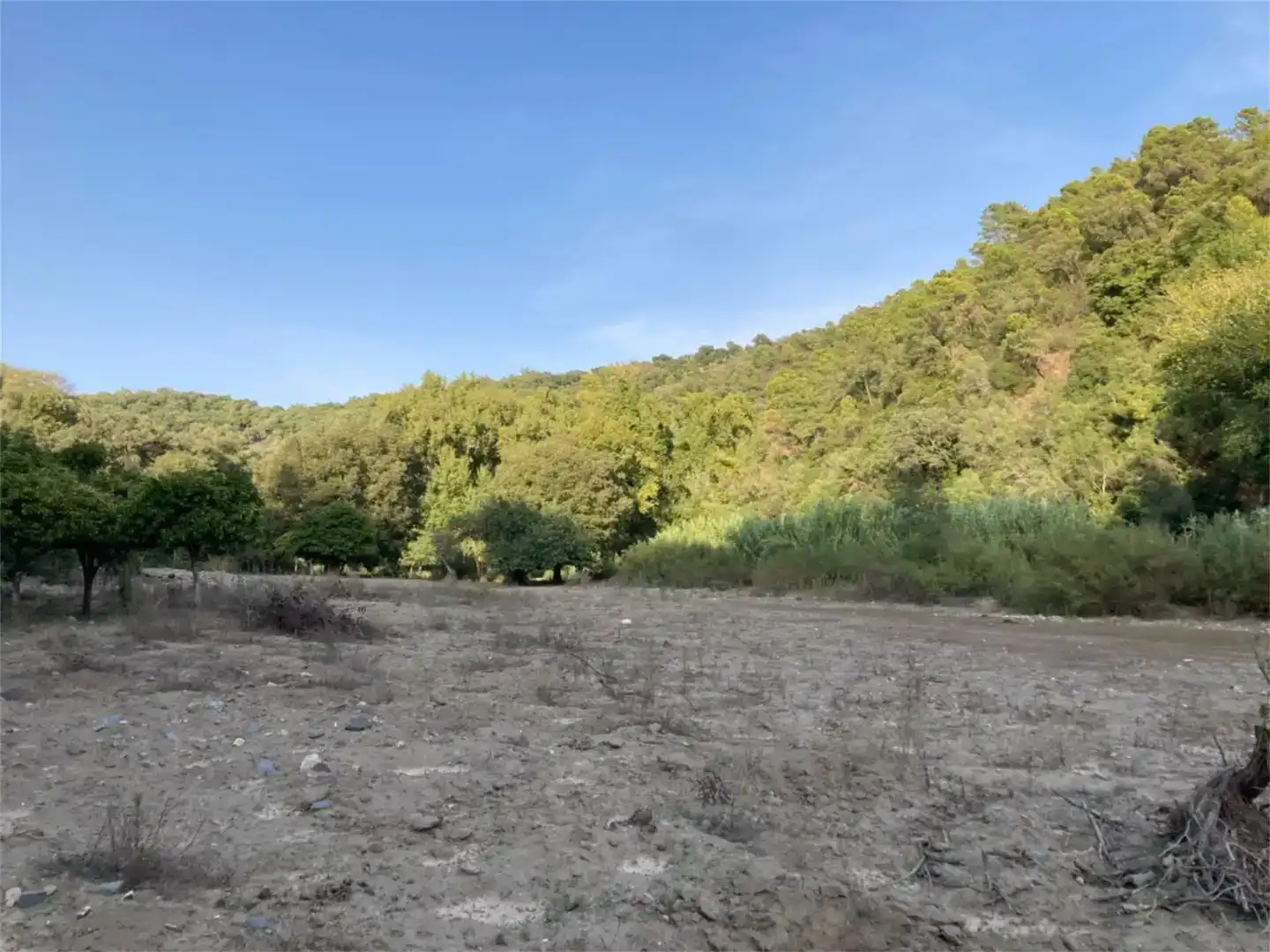 Land for sale in Benarrabá