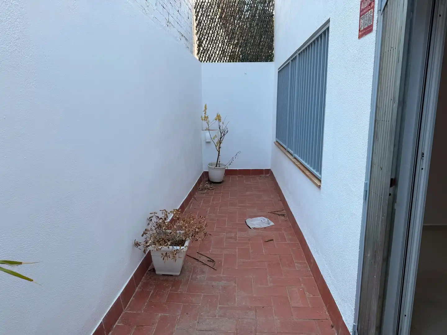 Local comercial de lloguer a Avinguda de Martí Pujol, imagen 8