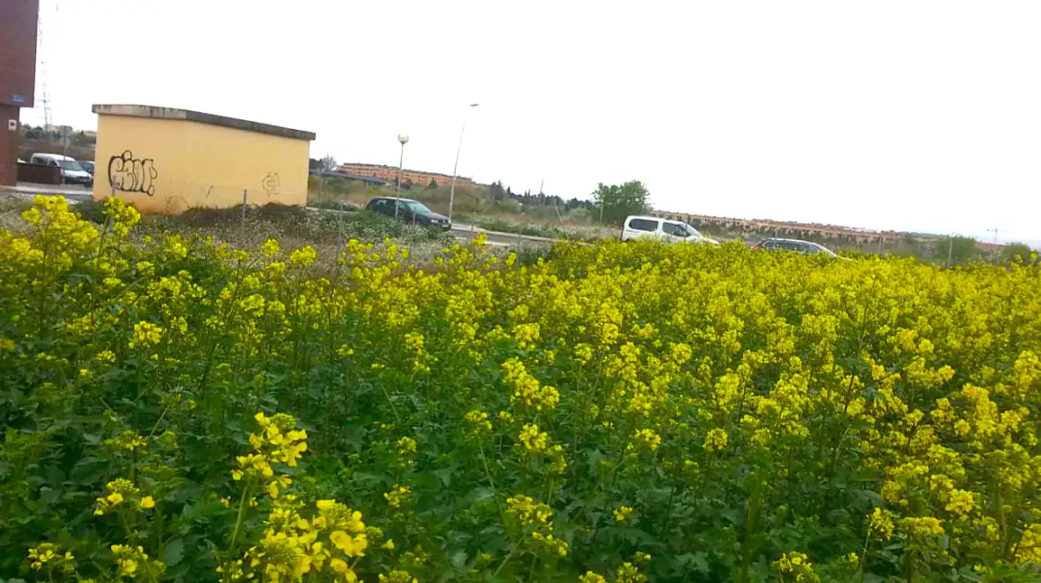 Residencial en venda en Lardero