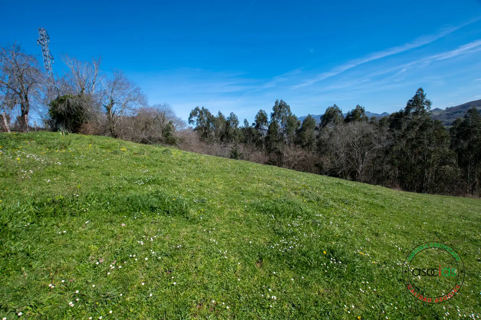 Terreno rustico in vendita a Cabranes - Naveda, imagen 20