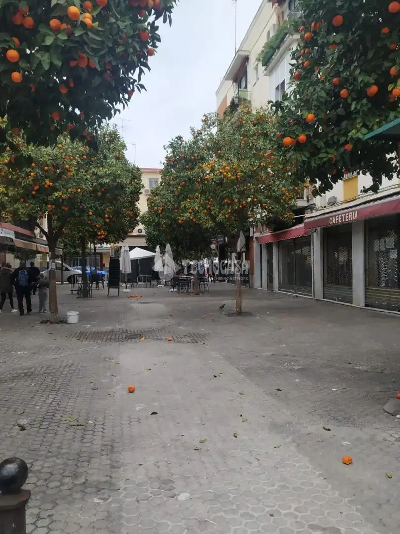 Vista exterior de Pis de lloguer en Sevilla amb Aire condicionat