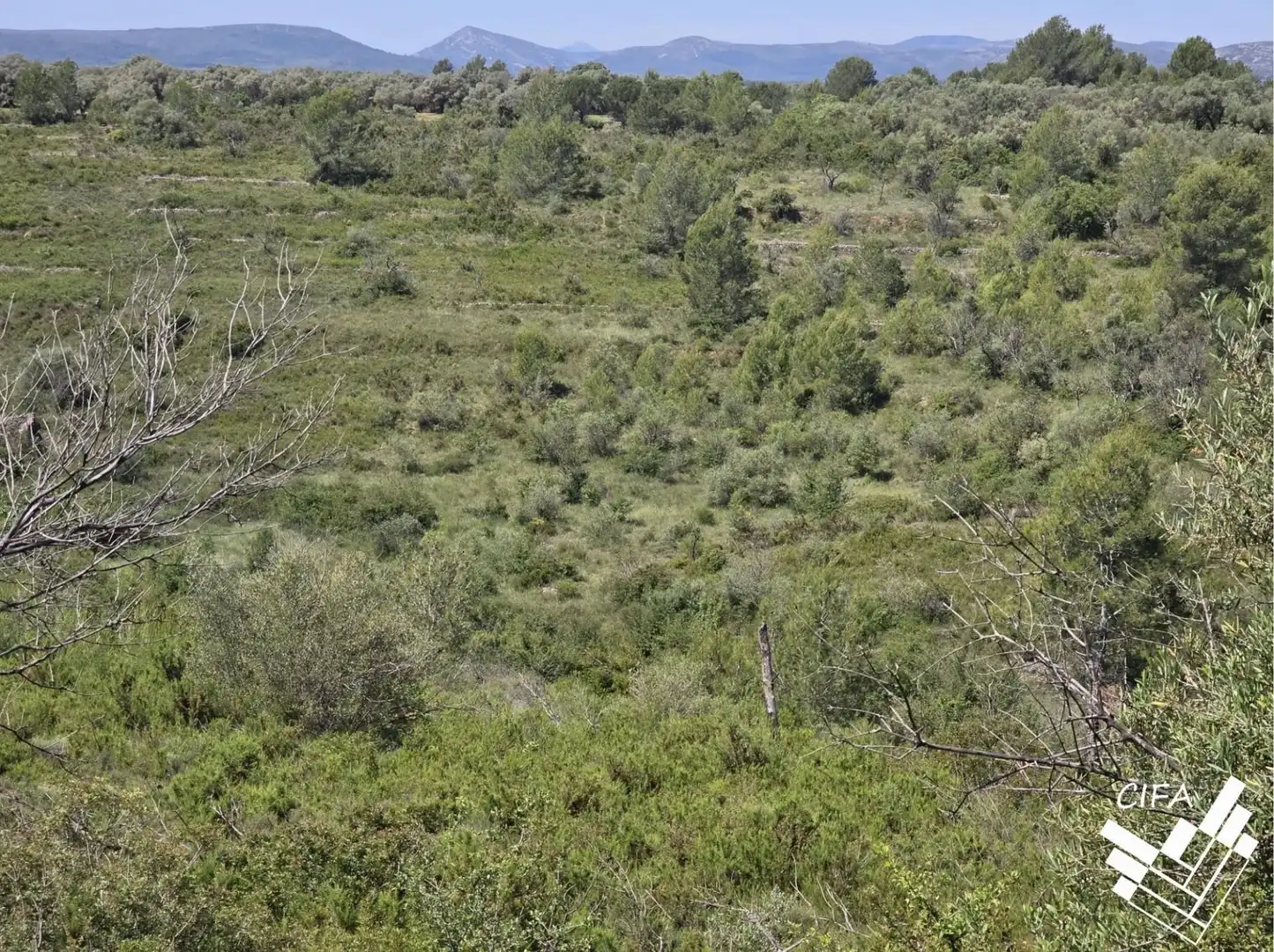 Terrain rustique à vendre à Polígono Sant Mateu, imagen 9