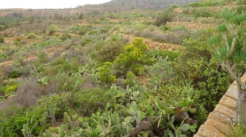 Foto 2 von Grundstücke zum Verkauf in Granadilla de Abona ciudad, Granadilla de Abona