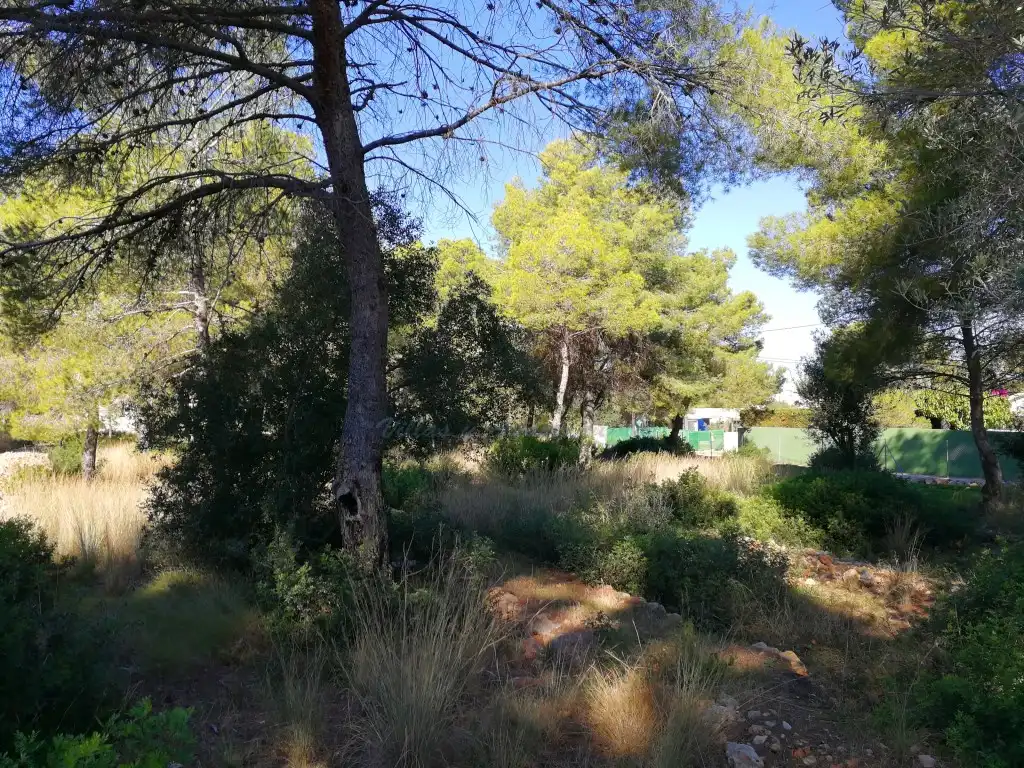 Terreny residencial en venda a Carrer Urà, 2-8, imagen 2