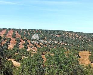 Grundstücke zum verkauf in Martos