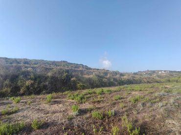 Terreny residencial en venda a Teulada