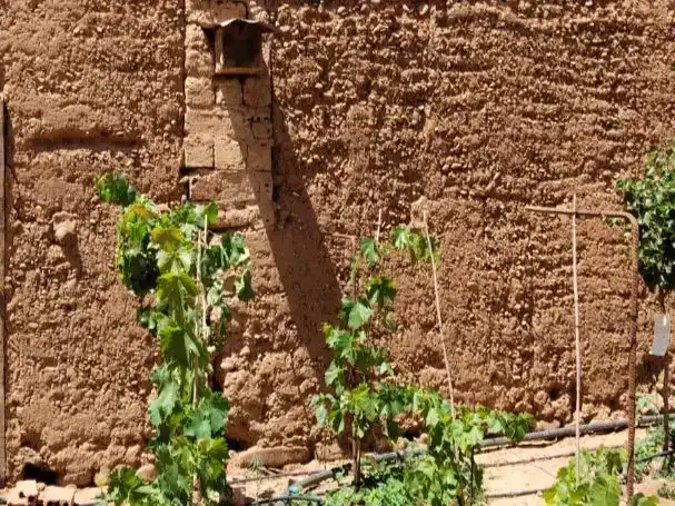 Jardín de Finca rústica en venta en Villazala